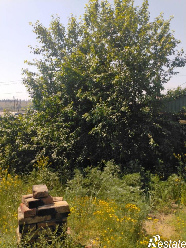 Коттедж/дом Аргунская улица