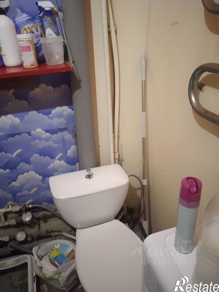 1-комн квартира улица Пушкина, 12,  д. 12