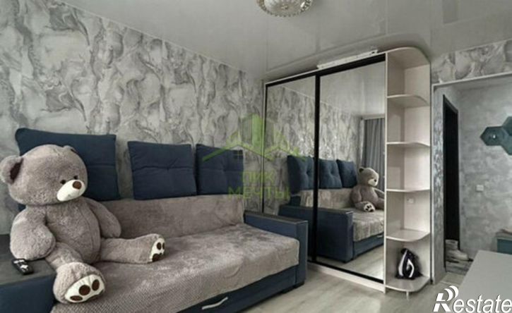 1-комн квартира 113-й микрорайон, 24