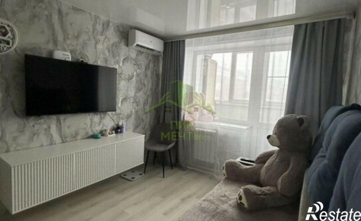 1-комн квартира 113-й микрорайон, 24