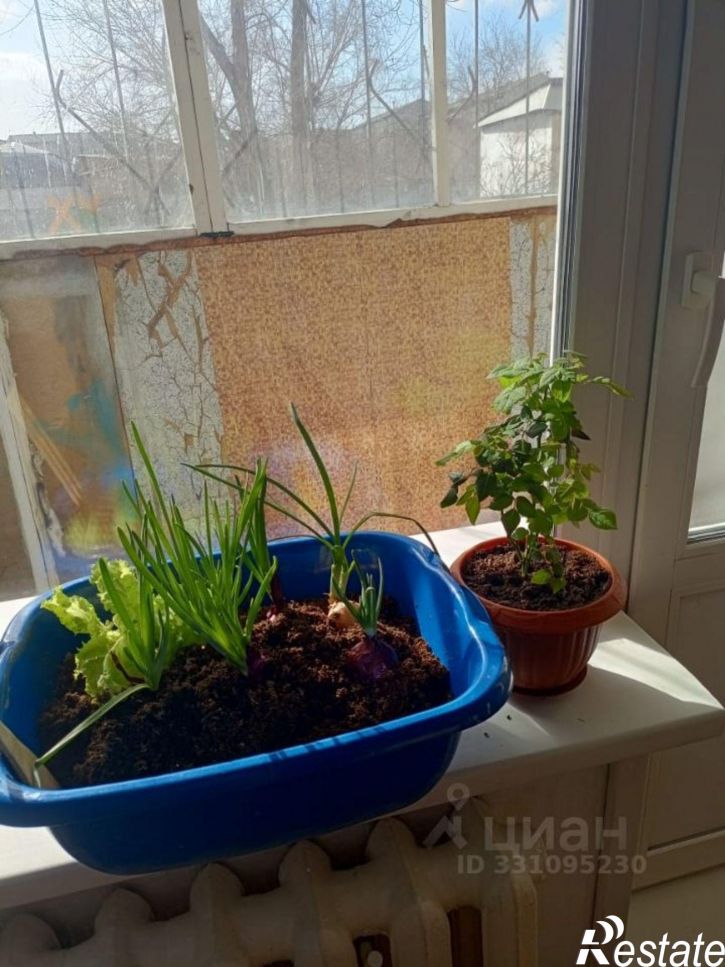 1-комн квартира ул Шумяцкого, 20,  д. 20