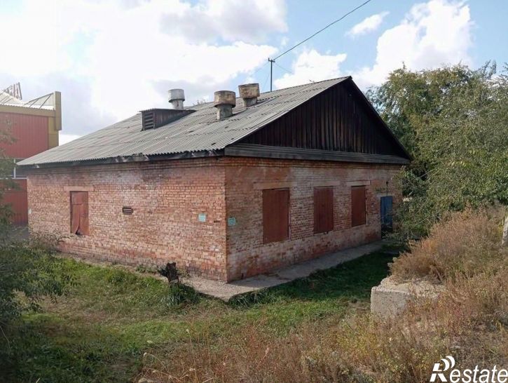 Отдельное здание улица Революции 1905 года, 4,  д. 4