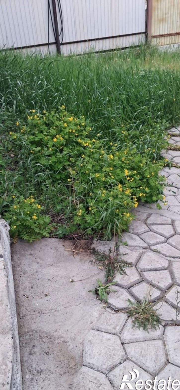 Коттедж/дом Яблоневый пер, 13,  д. 13